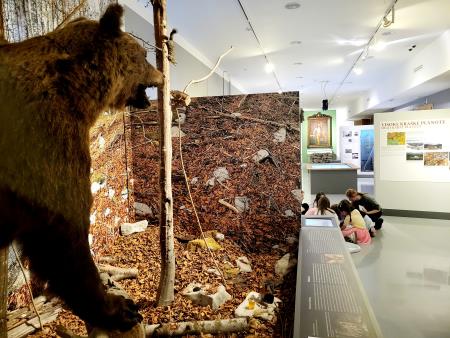 Soba pobega (foto Ana Čič)