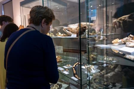 Zgodnejša ledena doba pri nas; nova odkritja (foto Alen Franetič)