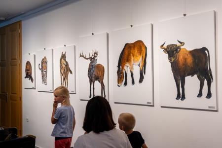 Zgodnejša ledena doba pri nas; nova odkritja (foto Alen Franetič)