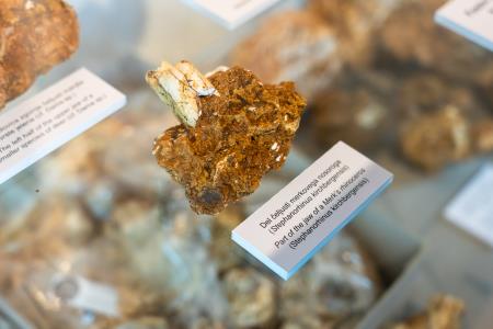 Zgodnejša ledena doba pri nas; nova odkritja (foto Alen Franetič)