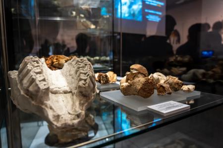 Zgodnejša ledena doba pri nas; nova odkritja (foto Alen Franetič)