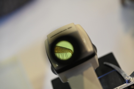 PMN 2025 (foto Ana Čič)